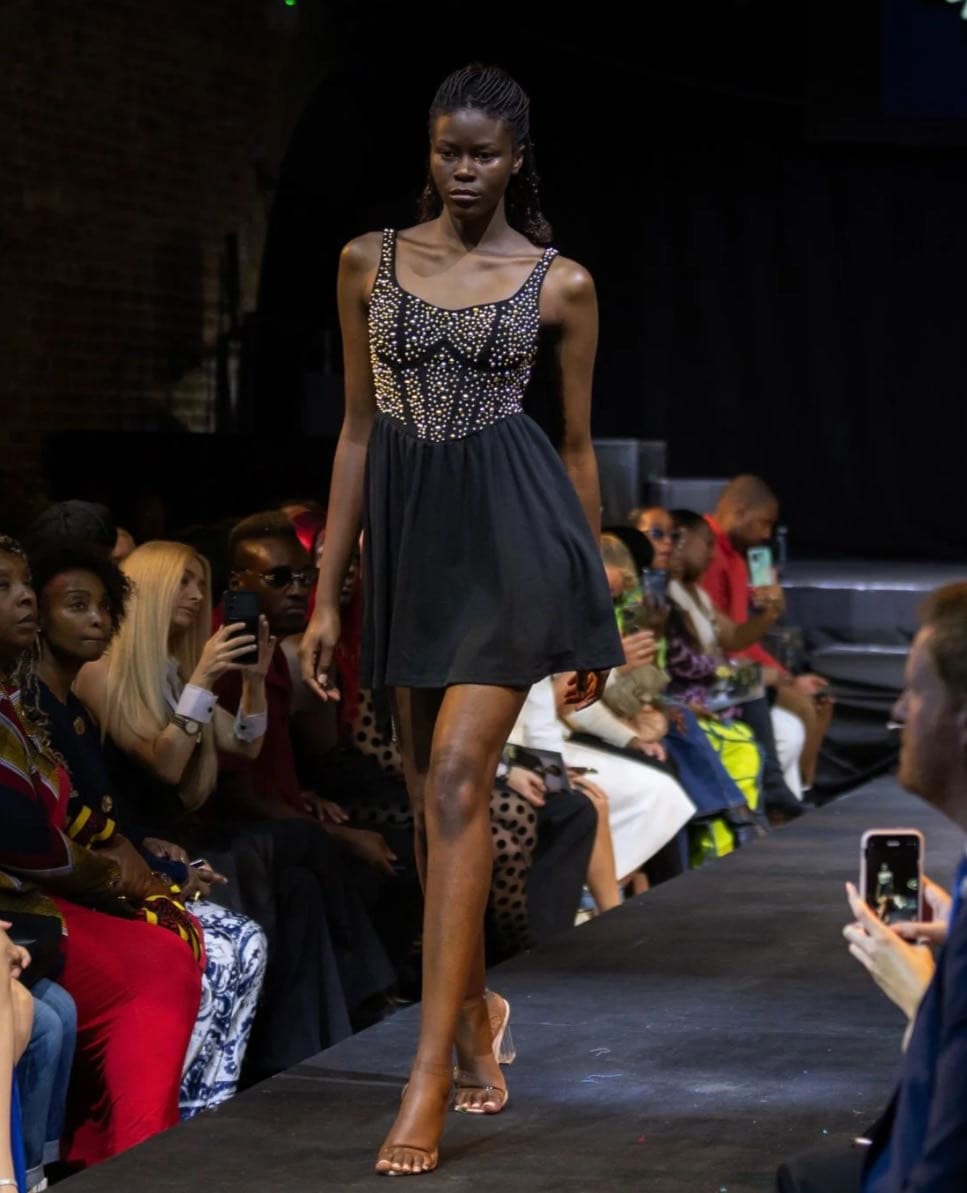 The Aneeqa Dress — 2
