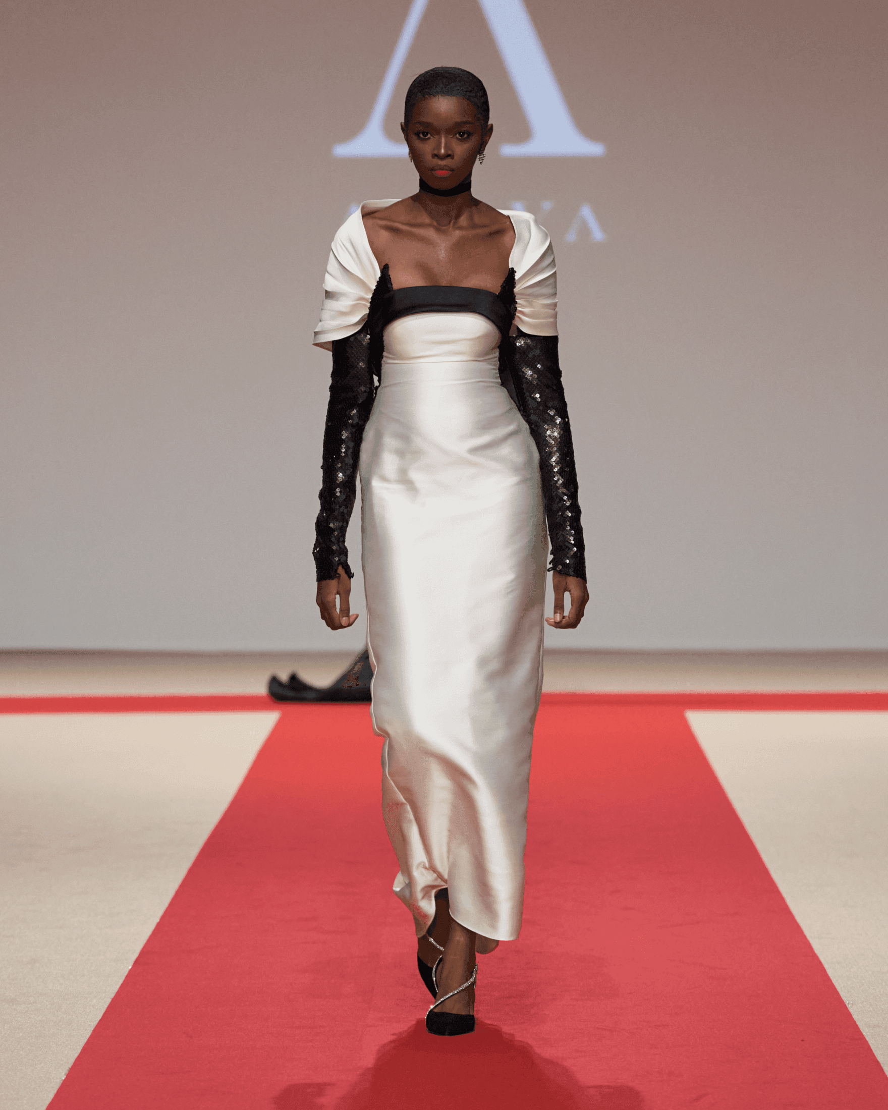 Anaya collection — 2
